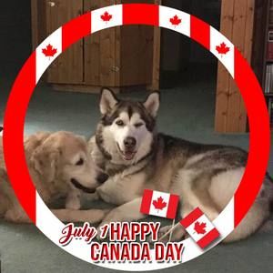 Meet your Posher, Isabel